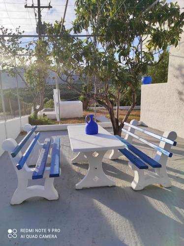 two blue and white picnic tables and a tree at White Villa in Olive trees and Seaview to Panagia in Almiropótamos
