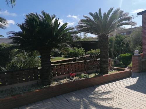 a garden with palm trees and a fence at Villa Paquita - Delta de l'Ebre in Deltebre