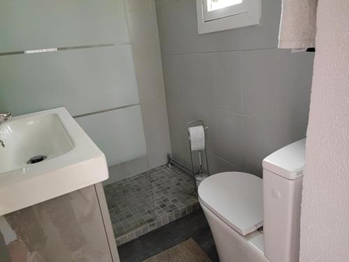 a bathroom with a white toilet and a sink at Maison charmante à Peille + jardin in Peille