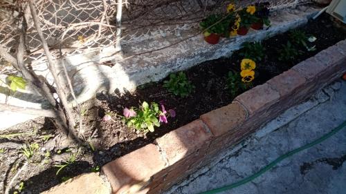 a garden with some flowers in a brick box at CASA THEOTOKI in Anemómylos