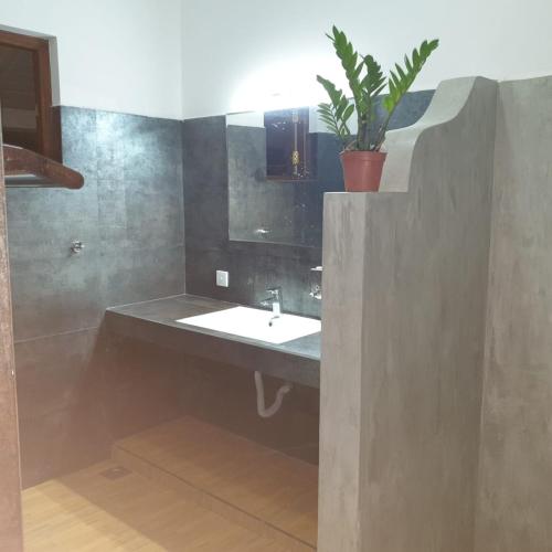 a bathroom with a sink and a potted plant at Villa Talpe in Talpe