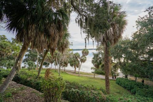 a park with palm trees and a body of water at Mar Bay Exclusive Suites in Safety Harbor