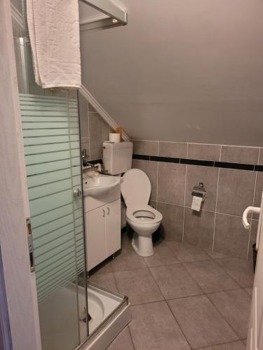 ein Bad mit einem WC und einem Waschbecken in der Unterkunft Koba in Bački Monoštor