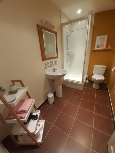 a bathroom with a sink and a toilet and a shower at L'Aparthé Dinan - Vue sur la place du marché in Dinan