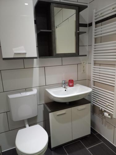 een badkamer met een wit toilet en een wastafel bij Monteurwohnung in Loiching