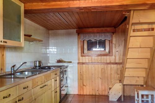 uma cozinha com um lavatório e um fogão em Holiday house Pokljuka - Bohinj em Koprivnik v Bohinju