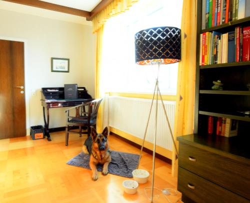 a dog sitting on a rug in a room at Ferienappartement Regina in Schrems