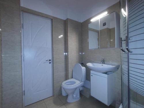 La salle de bains est pourvue de toilettes blanches et d'un lavabo. dans l'établissement Nelly's Home, à Pucioasa