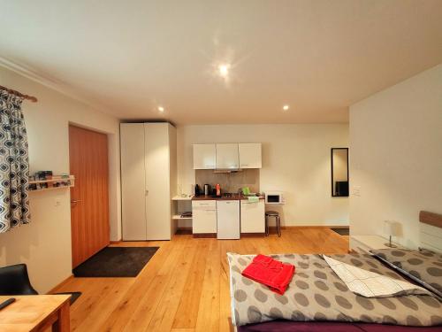 um quarto amplo com uma cozinha e uma sala de estar em Brunnematta em Ernen