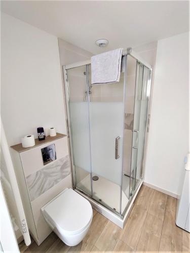 une salle de bain avec douche et toilettes dans l'établissement Appartement T2 