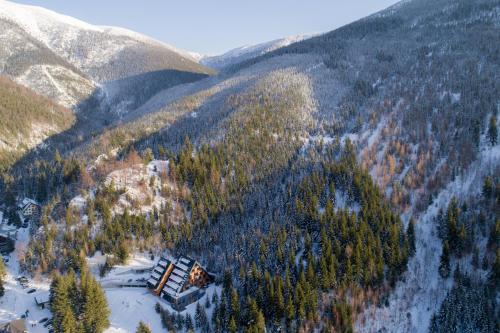 an aerial view of a forest with snow and trees at Apartment Adélka 106 Špindlerův Mlýn in Špindlerův Mlýn
