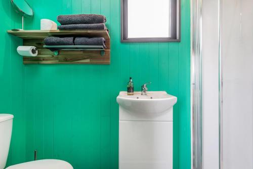 a green bathroom with a sink and a toilet at The Big Cwtch Shepherd's Hut in Kidwelly