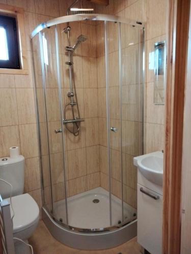 a bathroom with a shower with a toilet and a sink at Pod Bercem in Solina