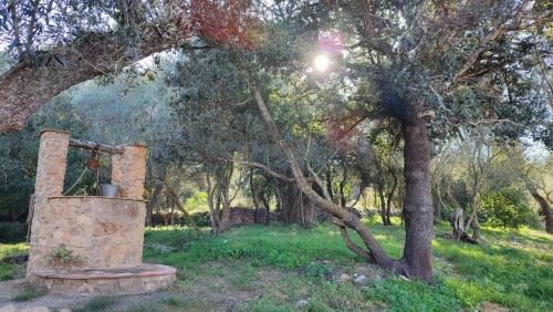 a stone fireplace in a field next to a tree at Can Costals Olivo in Pals