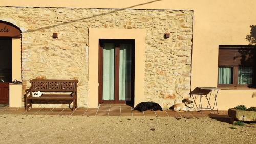 two dogs laying on the ground in front of a building at Can Costals Olivo in Pals