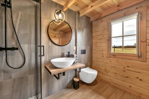a bathroom with a sink and a toilet and a mirror at Wood Village in Winiec