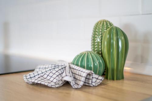un par de cactus y dos plantas verdes en una mesa en Villa Alba, en Playa Blanca