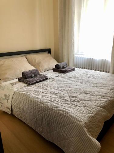 a bed with two pillows on it in a bedroom at Salve Teplice in Teplice