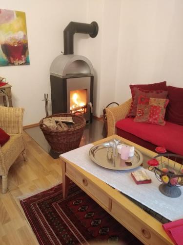 a living room with a couch and a fireplace at Haus Pfaffenfels in Schönau