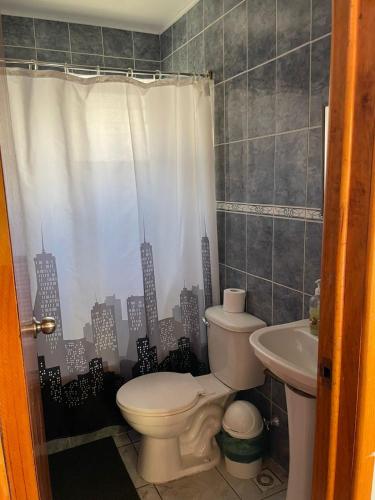 a bathroom with a toilet and a sink at Cabañas Luna de Cuarzo, Cochiguaz in Paihuano
