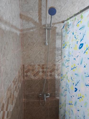 Kylpyhuone majoituspaikassa mini house