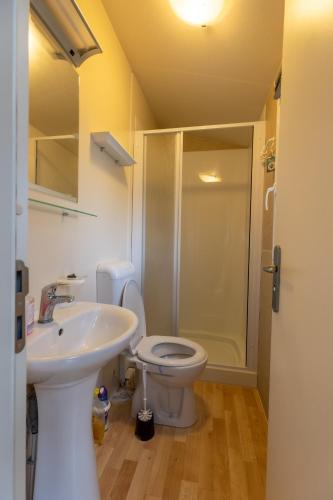 a bathroom with a toilet and a sink and a shower at Hiška pod Rudnico 2 in Podčetrtek