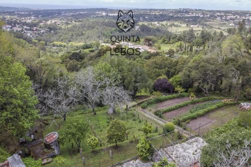 an aerial view of a garden with a sign that reads summer at Quinta dos Lobos Boutique Hotel - Nature Experience in Sintra