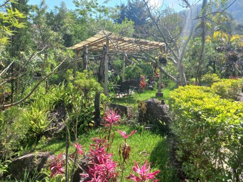 Κήπος έξω από το Hotel y Bungalows ecologicos Marcelo