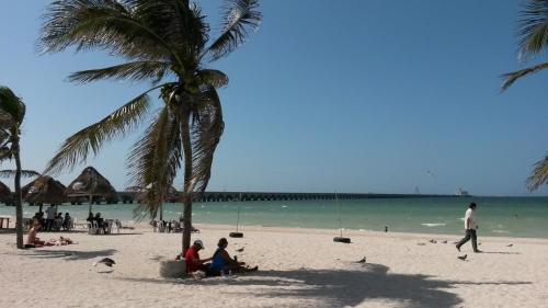 people sitting under a palm tree on a beach at Hotel & Suites Domani in Progreso