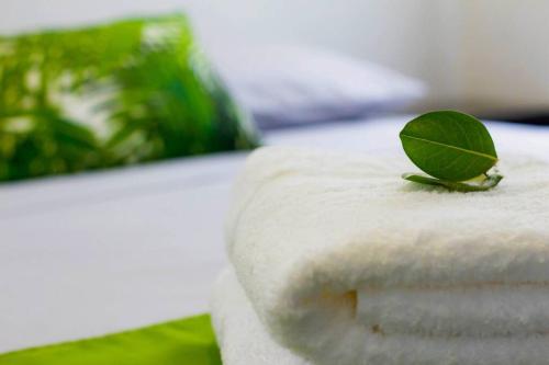 a green leaf sitting on top of a towel at Casas Campestres Los Miradores de Fruworld in Carmen de Apicalá