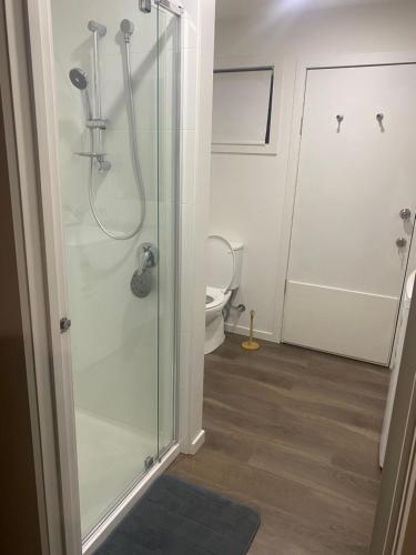 a bathroom with a shower and a toilet at Sea Renity in Safety Beach