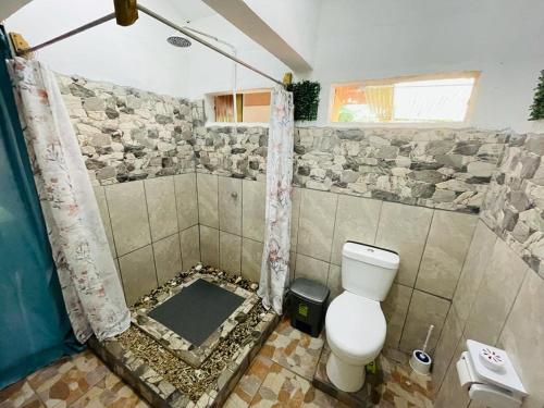 a bathroom with a shower and a toilet in it at Casa Nativa CR in Puerto Jiménez