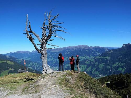 Haus Austria Top 5 – Photos 5