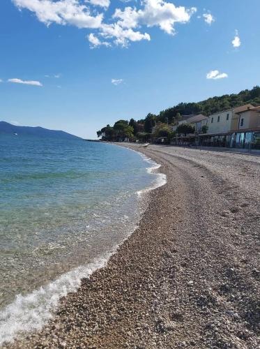 a beach with a rocky shoreline and the ocean at Apartment Natali in Brseč