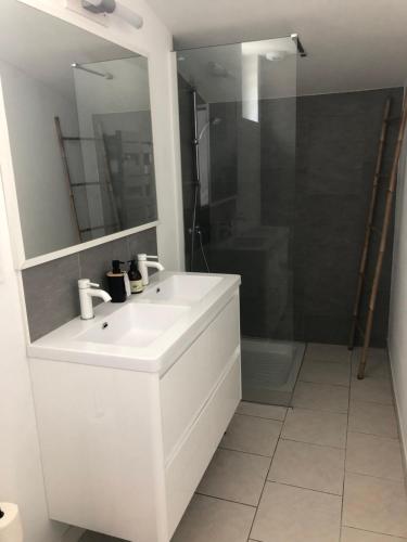 a bathroom with a white sink and a shower at LA PETITE MAISON DE TATATE in Longué
