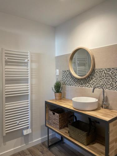 La salle de bains est pourvue d'un lavabo et d'un miroir. dans l'établissement Le Studio de l'Olivier, à Courcelles-sur-Seine