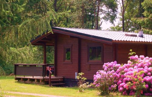 a small wooden cabin with a bench and pink flowers at Heidegut Eschede Reitsportanlage und Feriendorf in Eschede