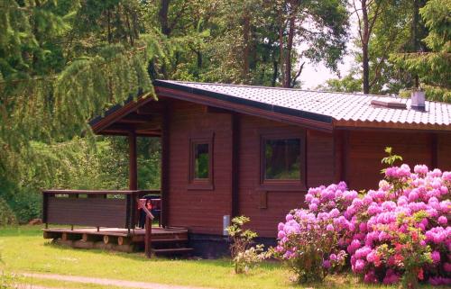 Zahrada ubytování Heidegut Eschede Reitsportanlage und Feriendorf