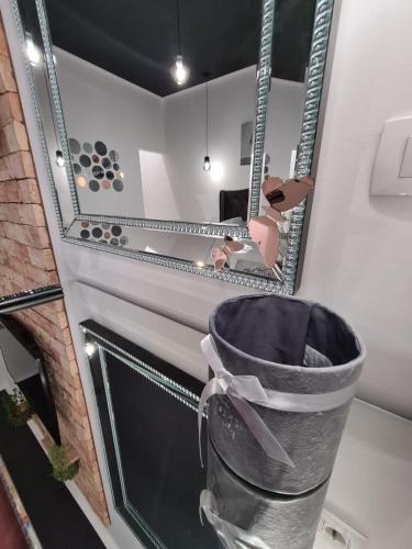 a bathroom with a trash can in front of a mirror at Premium class Apartmant - free parking in Zadar