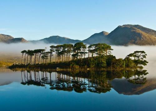 a group of trees on an island in the water at King's Apartment in Clifden