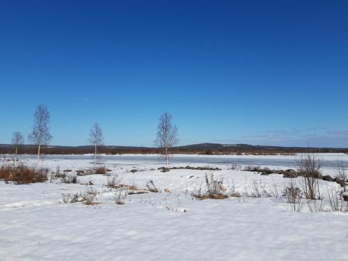 a snow covered field with trees in the distance at The Old Post Office in Hedenäset