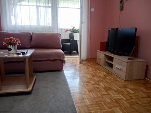 un soggiorno con un divano e una TV di Apartman Prima Sombor a Sombor