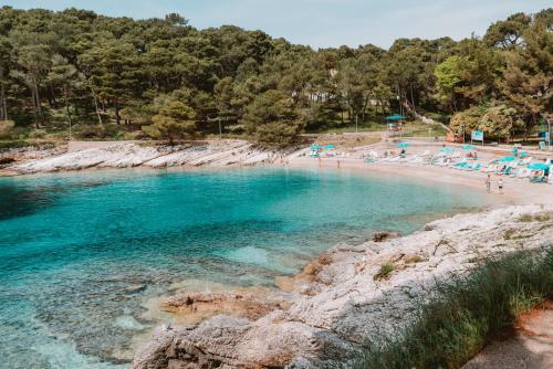 Studio Apartment PineTree - Mali Lošinj