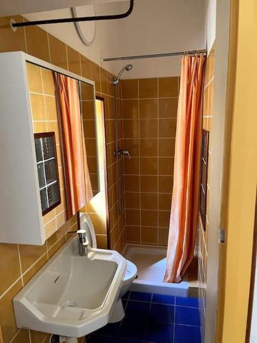 une salle de bain avec un lavabo et une douche dans l'établissement Studio CV - Calme, clair avec terrasse, à Montpellier