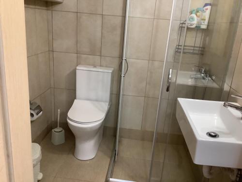 Kúpeľňa v ubytovaní SUNNY STUDIO IRAKLITSA