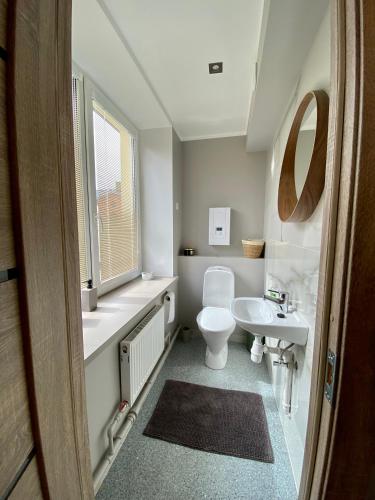 a bathroom with a toilet and a sink and a mirror at Apartments in Dobele city center - Pilsētas Māja in Dobele