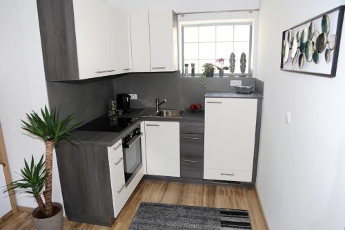 Kuchyň nebo kuchyňský kout v ubytování Weingut Apartment Hildegard Gangl