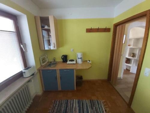 cocina con encimera y lavabo en una habitación en Appartement Bergblick, en Grassau
