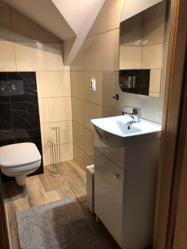 a bathroom with a sink and a toilet at Niebieskie Lato - Mieroszyno w pobliżu Jastrzębiej Góry in Jastrzębia Góra