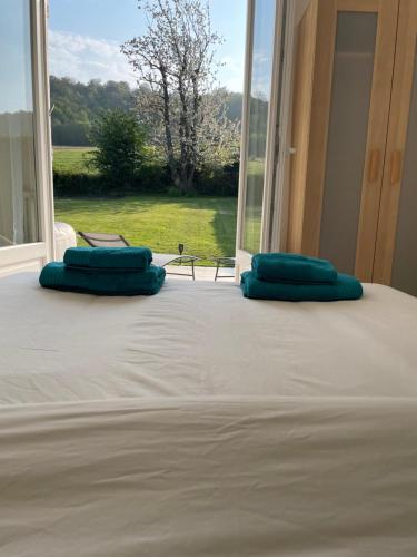 a bed with two blue pillows on it in front of a window at Le Cerisier in Meulers